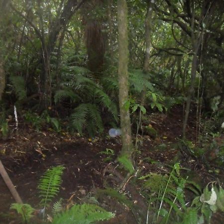 Raurimu Tui Glenヴィラ エクステリア 写真