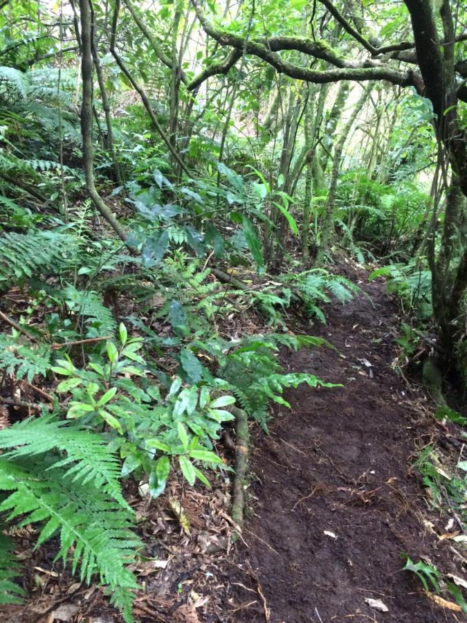 Raurimu Tui Glenヴィラ エクステリア 写真
